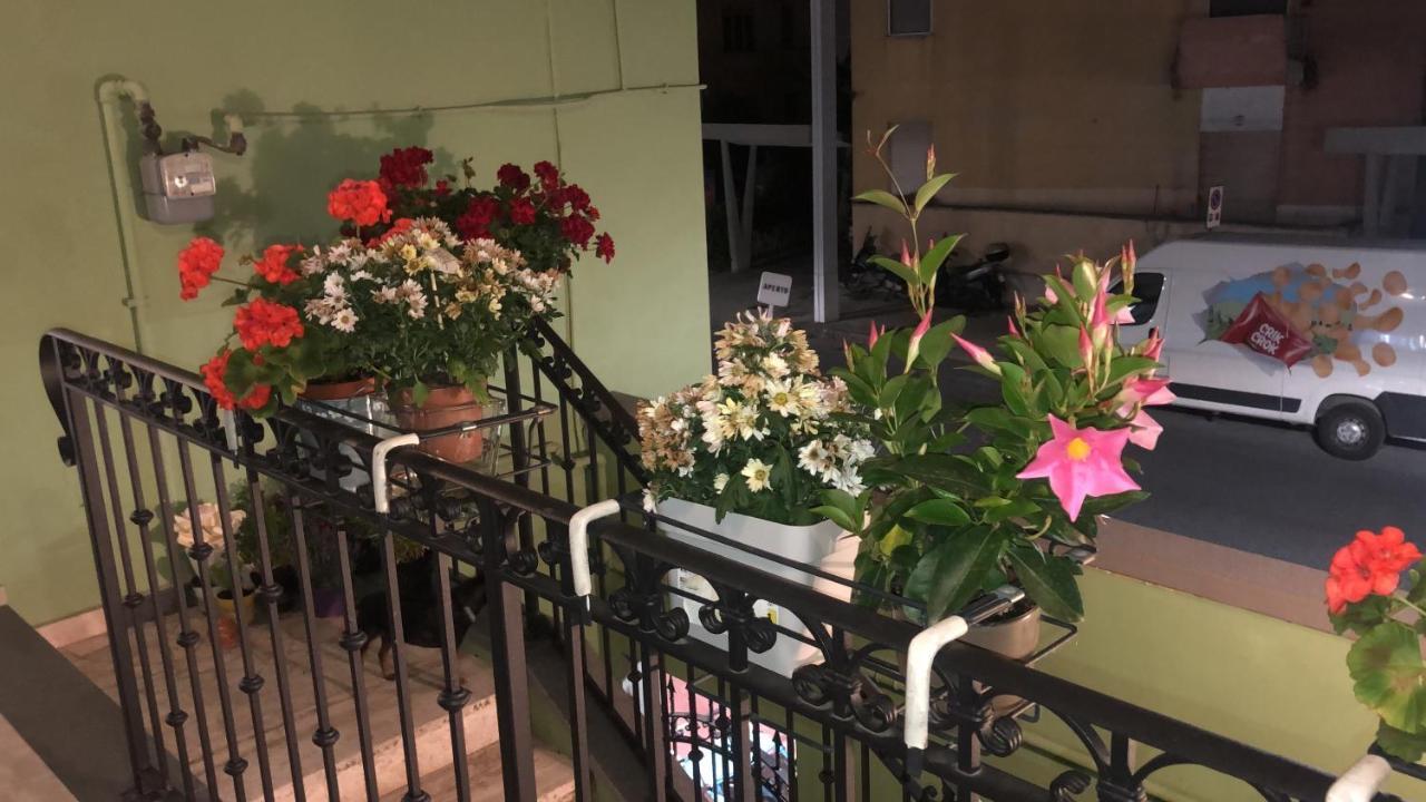 Tom & Jerry Bed & Breakfast Pisa Exterior photo