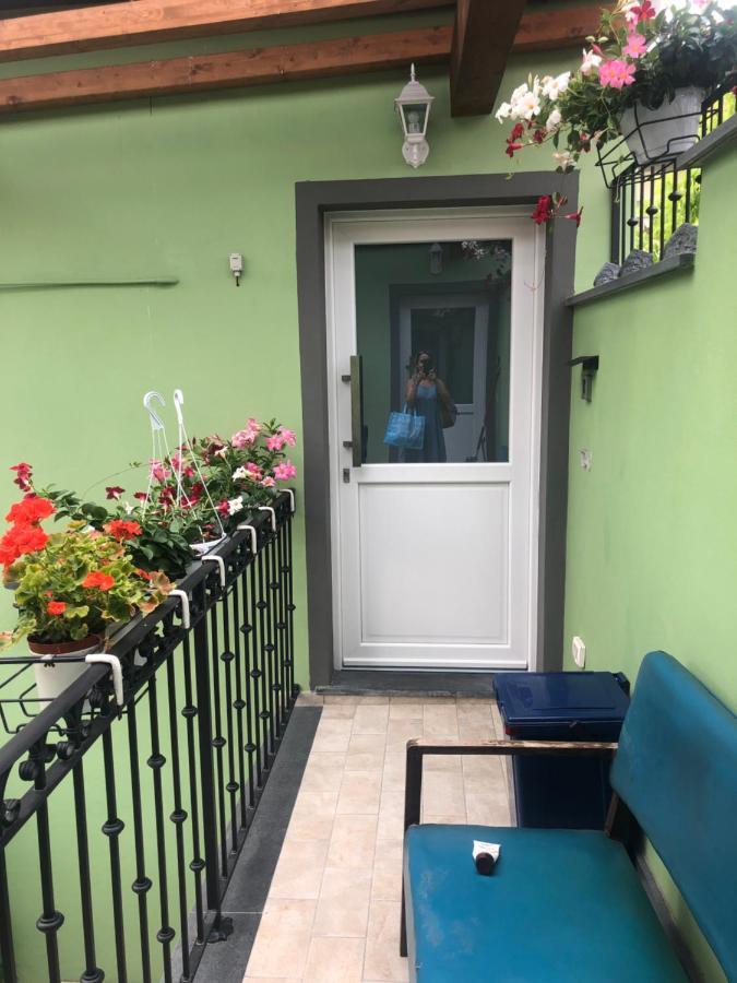 Tom & Jerry Bed & Breakfast Pisa Exterior photo