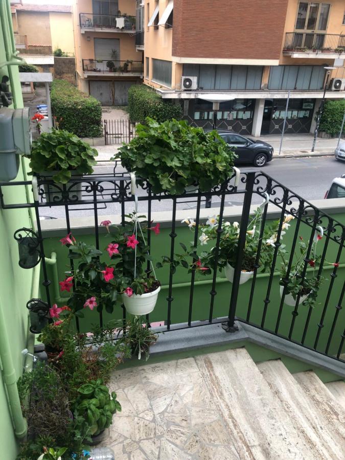 Tom & Jerry Bed & Breakfast Pisa Exterior photo